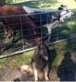 /album/mybuddys-bilder/image-8-jpg/